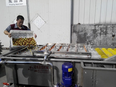 Jujube cleaning machine